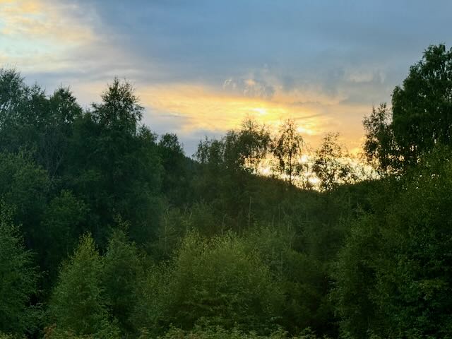 Evening sun setting behind a dense green forest