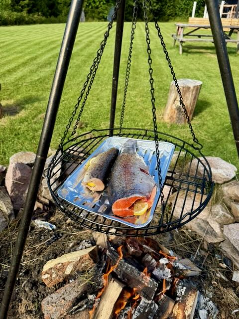 Fish cooking over an open fire in a wire basket