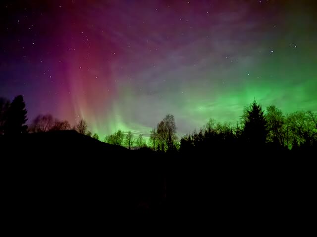Northern lights in green and violet above a dark treeline